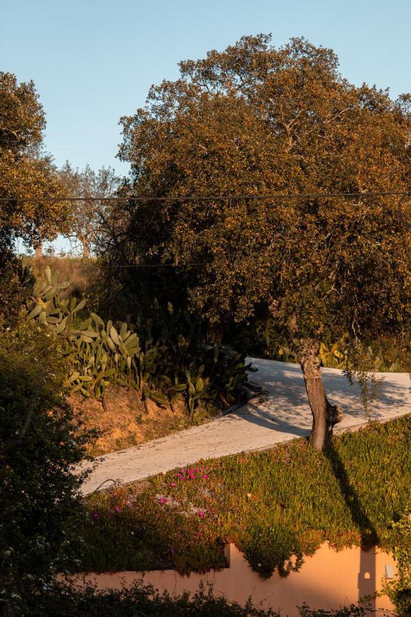 Vale De Ferreiros Konuk evi Abrantes Dış mekan fotoğraf